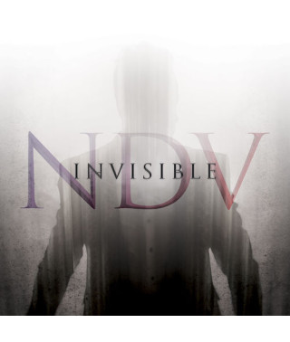 Nick D’Virgilio – Invisible (2020) (CD Audio)