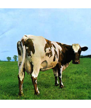 Pink Floyd – Atom Heart Mother (2011) (CD Audio)
