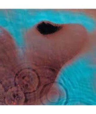 Pink Floyd – Meddle (2011) (CD Audio)