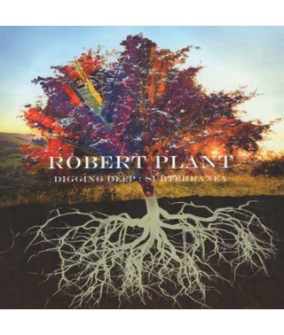 Robert Plant – Digging Deep: Subterranea (2cd) (2020) (CD Audio)