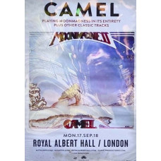 Camel: At the Royal Albert Hall (2018) [DVD]