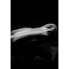 Dir En Grey - Ochita Koto no Aru Sora [DVD]