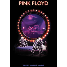 Pink Floyd: Delicate Sound Of Thunder [DVD]