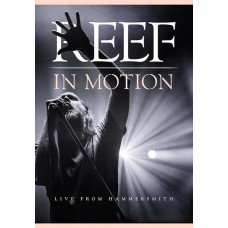 Reef: In Motion - Live from Hammersmith [DVD]