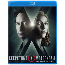 Секретные материалы (10-11 сезон) [2 Blu-ray]