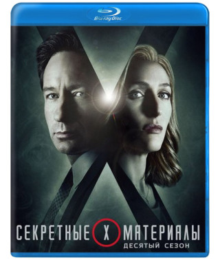 The X-Files (Season 10-11) [2 Blu-ray]
