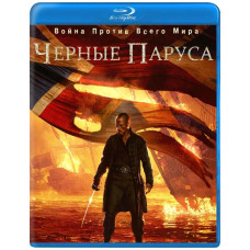 Black Sails (Season 1-4) [4 Blu-ray]