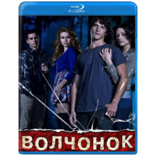 Teen Wolf (Werewolf) (Season 1-6) [6 Blu-ray]