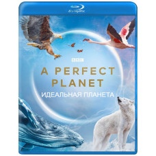 Ідеальна планета [Blu-ray]