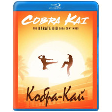 Cobra Kai (Season 1-2) [2 Blu-ray]