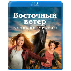 Восточный ветер. Великий ураган [Blu-ray]