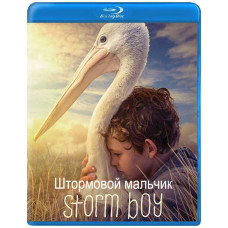 Штормовой мальчик [Blu-ray]