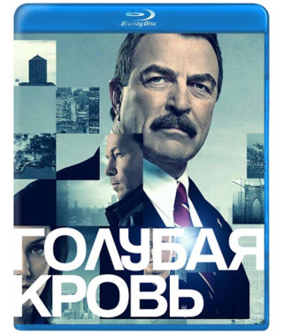 Blue Bloods (Family Tradition) (Seasons 1-14) [14 Blu-ray]