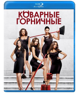 Devious Maids (Season 1-4) [4 Blu-ray]