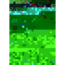 Хак//Знак [1 DVD]