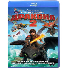 How to Train Your Dragon 2 [Blu-ray]