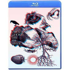 Dir en grey - TOUR13 GHOUL [2 Blu-ray]