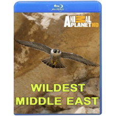 Nature of the Middle East (5 episodes of 5) [Blu-ray]