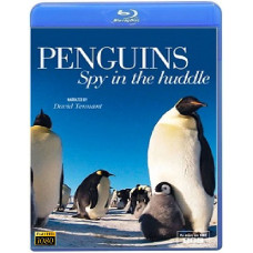 Пингвин: Шпион под прикрытием (3 серии) [Blu-ray]