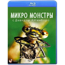 Микро Монстры с Дэвидом Аттенборо (6 серий) [Blu-ray]