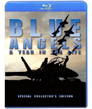 Голубые ангелы: Год в жизни (4 серии) [Blu-ray]