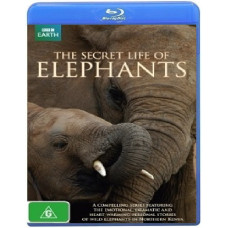 Тайны жизни слонов (3 серии) [Blu-ray]
