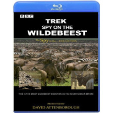 Дикая природа: шпион среди антилоп гну (2 серии) [Blu-ray]