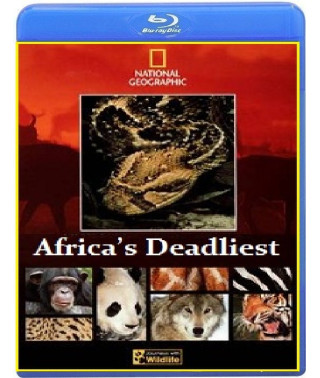 Predators of Africa (3 episodes) [Blu-ray]