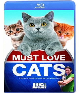 Кошек не любить нельзя (1-2 сезон) [Blu-ray]