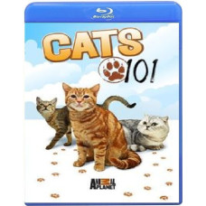 Введение в котоводство (1-3 сезон) [Blu-ray]