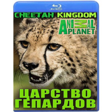 Царство гепардов (12 серий) [Blu-ray]