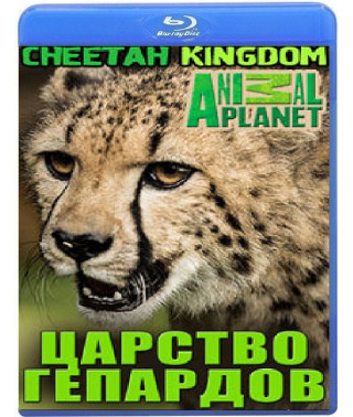 Царство гепардов (12 серий) [Blu-ray]