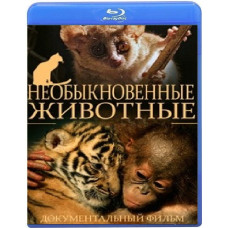 Необыкновенные животные (4 серии) [Blu-ray]