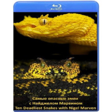 The Most Dangerous Snakes with Nigel Marvin (4 episodes) [Blu-ray]