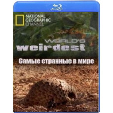 The Strangest in the World (14 episodes) [3 Blu-ray]