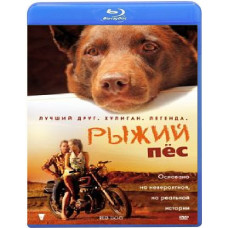 Рыжий пес [Blu-Ray]