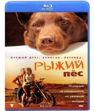 Рыжий пес [Blu-Ray]