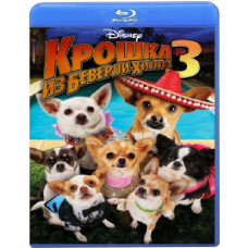 Beverly Hills Babes 3 [Blu-ray]