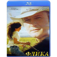 Флика