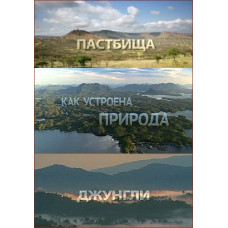 ВВС. Як улаштована природа [Blu-ray]