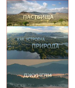 BBC. Как устроена природа [Blu-ray]
