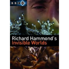 BBC: Невидимые миры [Blu-Ray]