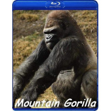 BBC: Горная горилла [Blu-Ray]