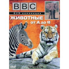 BBC: Животные от А до Я [1 DVD]