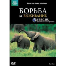 BBC: Fight for Survival [1 DVD]