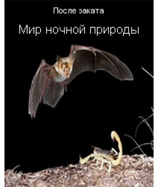 BBC После заката. Мир ночной природы [1 DVD]