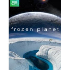BBC Замерзшая планета [1 DVD]