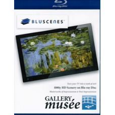 BluScenes: Музейна галерея [Blu-ray]