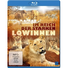 Discovery. Surviving the Drought [Blu-ray]