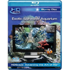 HD Окно: Экзотический Морской Аквариум  [Blu-Ray]